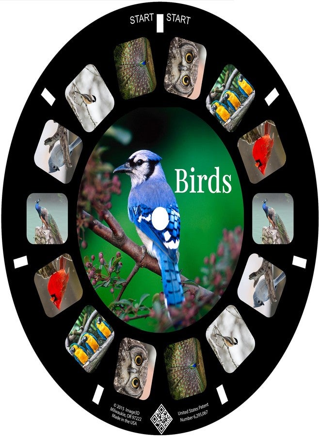 MayKo Bird Reels for Viewfinder Compatible View Master Viewers. Set of 3 (Reels Only) - Image 2